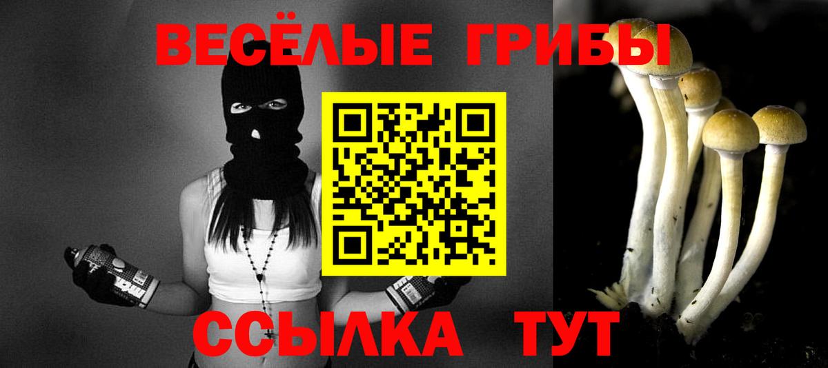 Псилоцибиновые грибы MAGIC MUSHROOMS  Галлюциногенные грибы мицелий  Вход с VPN  Чернушка 